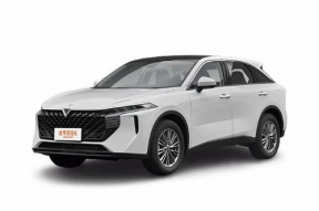 国产v,引领科技潮流，打造民族品牌新标杆