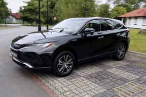 国产TSCD,引领科技潮流的创新力量